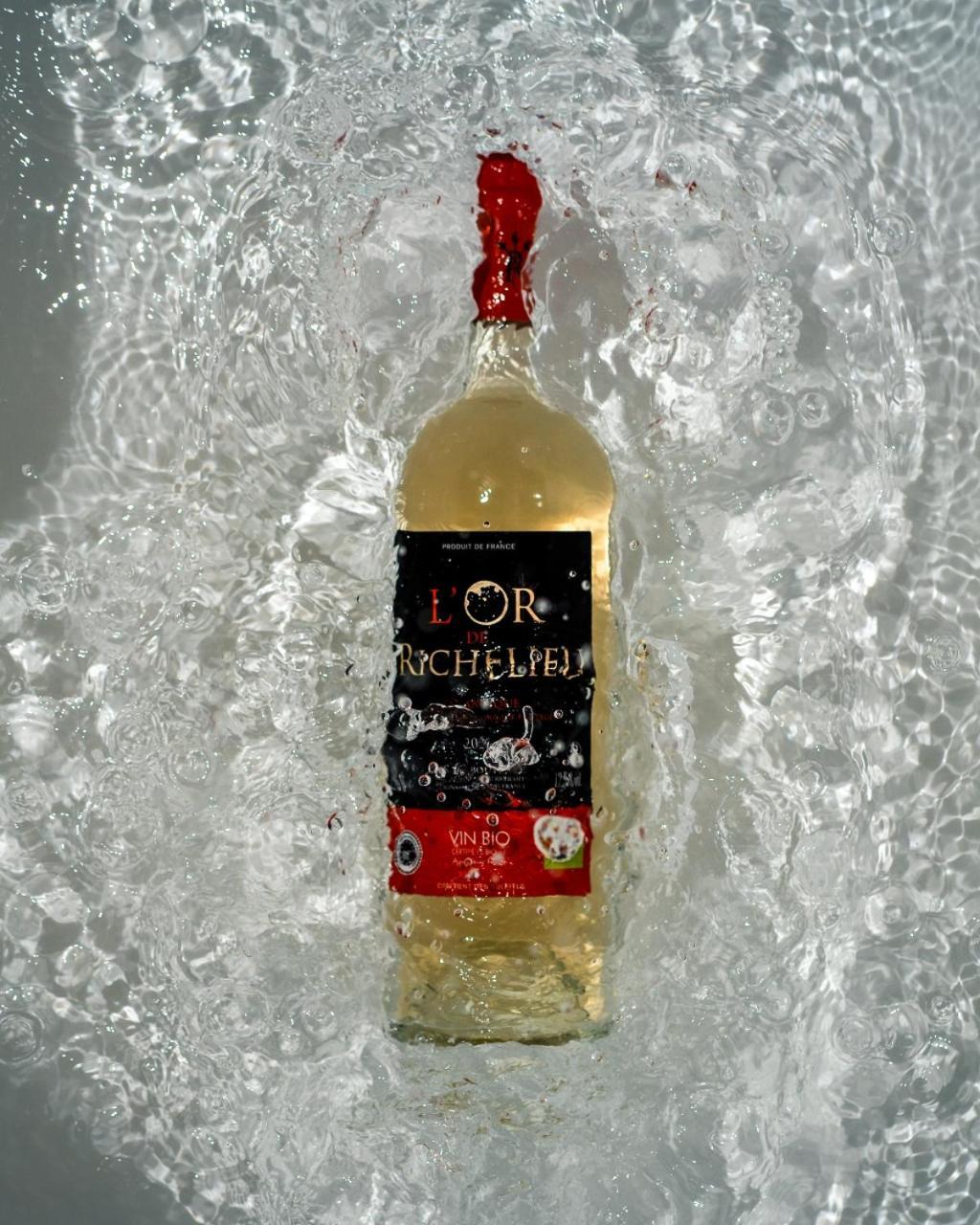 Fronsac  Chateau Richelieu المظهر الخارجي الصورة